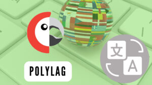 Lee más sobre el artículo Plugin de traducción Polylang