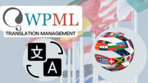 Lee más sobre el artículo Plugin de traducción WPML Translation Management